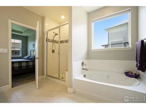 6040 Gannet Dr, Timnath, CO 80547 photo 24