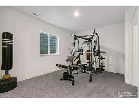 6040 Gannet Dr, Timnath, CO 80547 photo 27