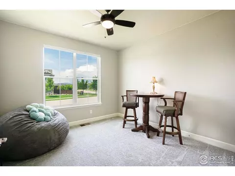 6040 Gannet Dr, Timnath, CO 80547 photo 7