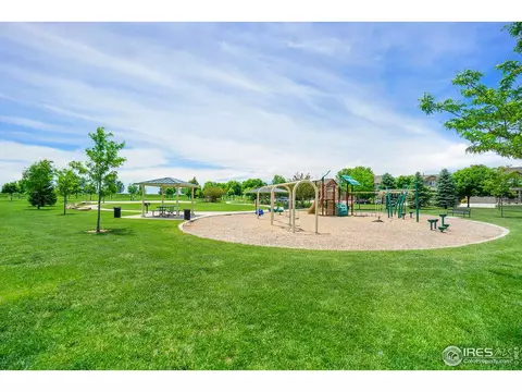 6040 Gannet Dr, Timnath, CO 80547 photo 36