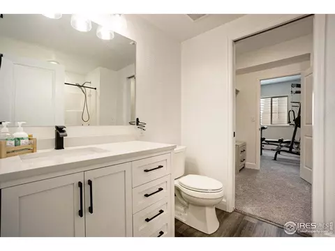 6040 Gannet Dr, Timnath, CO 80547 photo 28
