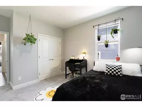 6040 Gannet Dr, Timnath, CO 80547 photo 9