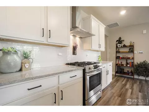 6040 Gannet Dr, Timnath, CO 80547 photo 18