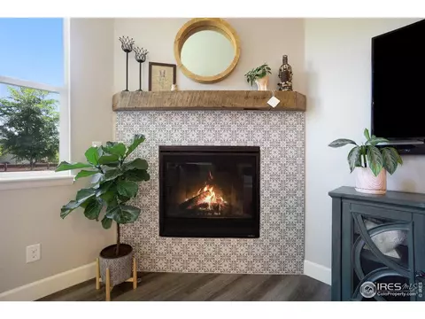 6040 Gannet Dr, Timnath, CO 80547 photo 14