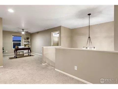 613 Botley Dr, Windsor, CO 80550 photo 19
