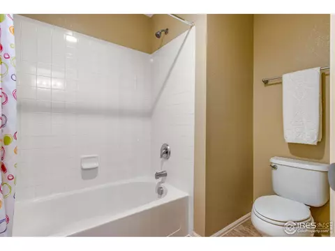 613 Botley Dr, Windsor, CO 80550 photo 26