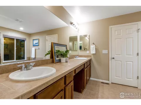 613 Botley Dr, Windsor, CO 80550 photo 22