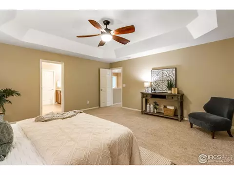 613 Botley Dr, Windsor, CO 80550 photo 21