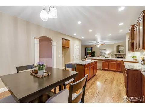 613 Botley Dr, Windsor, CO 80550 photo 13
