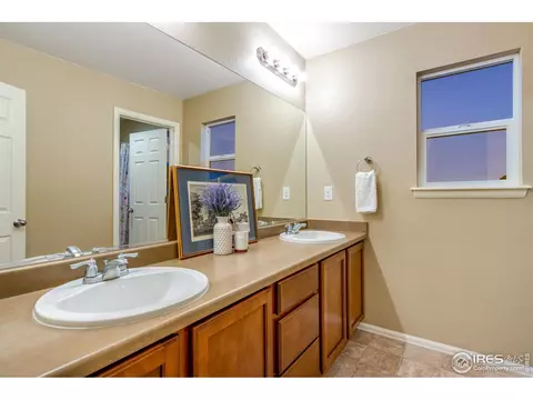 613 Botley Dr, Windsor, CO 80550 photo 25