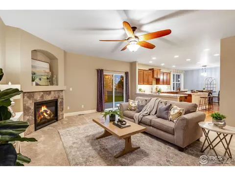 613 Botley Dr, Windsor, CO 80550 photo 10