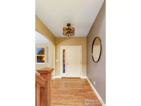 613 Botley Dr, Windsor, CO 80550 photo 3