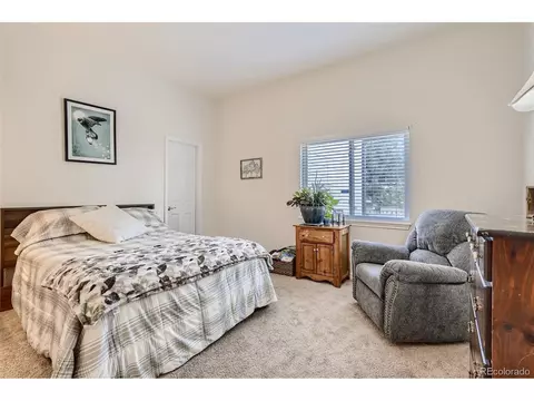 8329 Tabor Ct, Arvada, CO 80005 photo 21