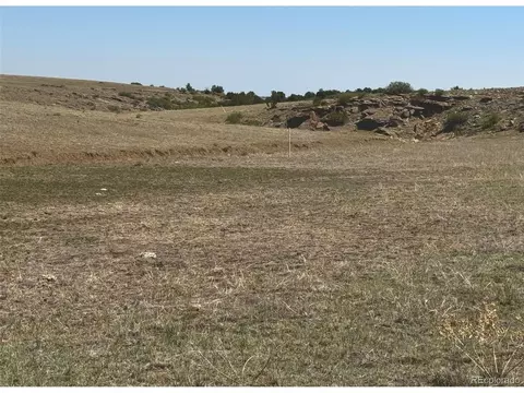 13 Pickney Rd, Rye, CO 81069 photo 22