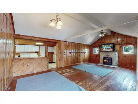 13525 Us Highway 285, Pine, CO 80470 photo 8