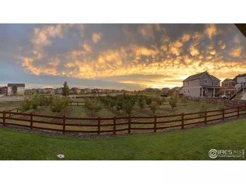 1963 Blue Moon Dr, Windsor, CO 80550 photo 34