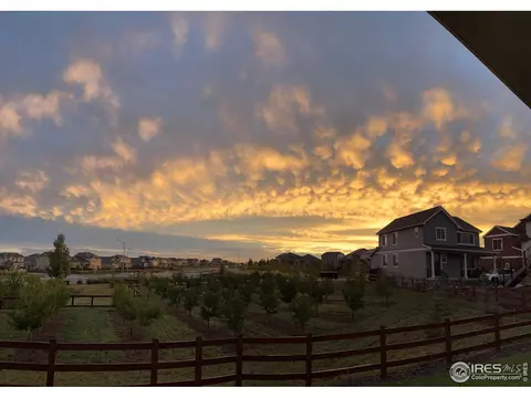 1963 Blue Moon Dr, Windsor, CO 80550 photo 35