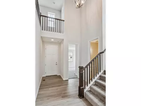 942 Rustling St, Windsor, CO 80550 photo 3