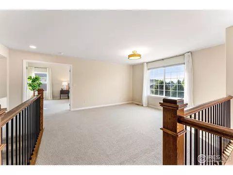 5361 Moonlight Bay Dr, Windsor, CO 80528 photo 21
