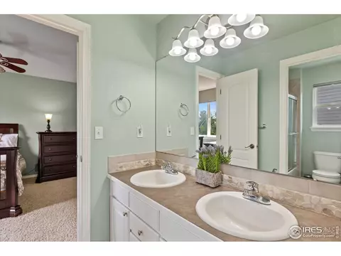 8101 Islander Ct, Windsor, CO 80528 photo 27