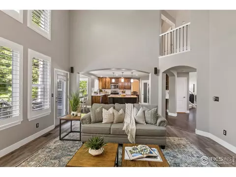 8101 Islander Ct, Windsor, CO 80528 photo 18