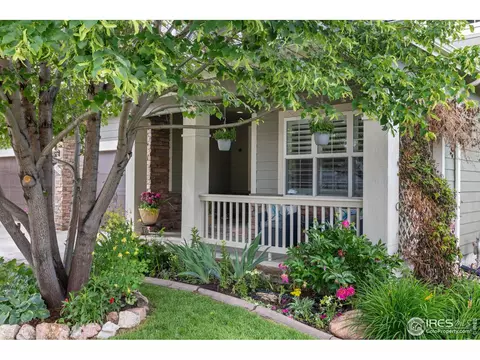 8101 Islander Ct, Windsor, CO 80528 photo 4