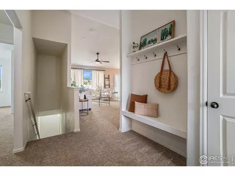 723 Mt Evans Ave, Severance, CO 80550 photo 3