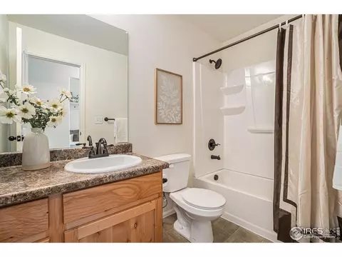 723 Mt Evans Ave, Severance, CO 80550 photo 16