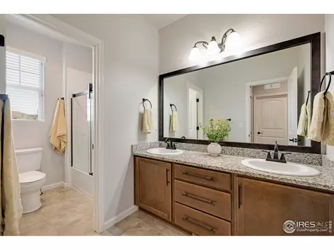 8201 Wynstone Ct, Windsor, CO 80550 photo 25