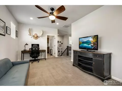 8201 Wynstone Ct, Windsor, CO 80550 photo 18
