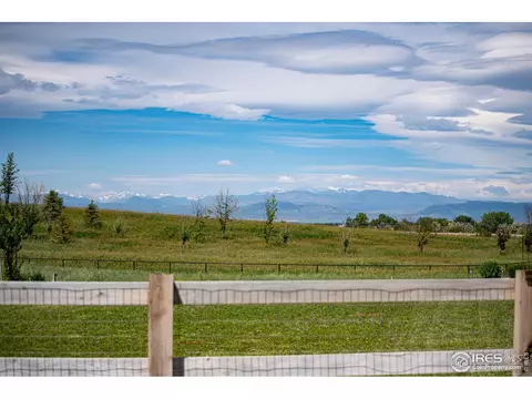 1441 Markhor Dr, Severance, CO 80550 photo 37