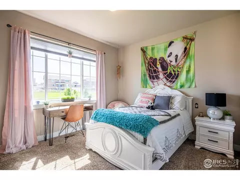 1441 Markhor Dr, Severance, CO 80550 photo 18