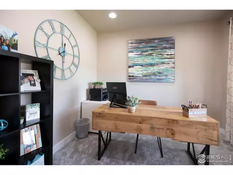 1441 Markhor Dr, Severance, CO 80550 photo 19