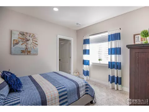 1441 Markhor Dr, Severance, CO 80550 photo 25