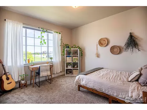 1441 Markhor Dr, Severance, CO 80550 photo 16