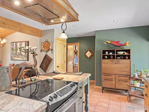 274 Cree Ct, Lyons, CO 80540 photo 17