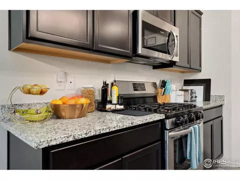1809 Nightfall Dr, Windsor, CO 80550 photo 19