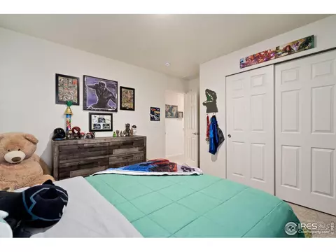 1809 Nightfall Dr, Windsor, CO 80550 photo 29