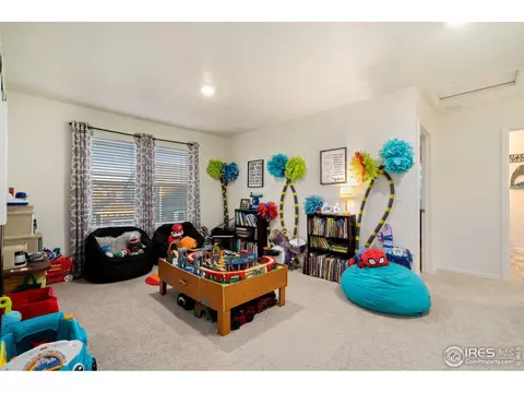 1809 Nightfall Dr, Windsor, CO 80550 photo 25
