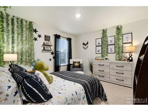 1809 Nightfall Dr, Windsor, CO 80550 photo 32