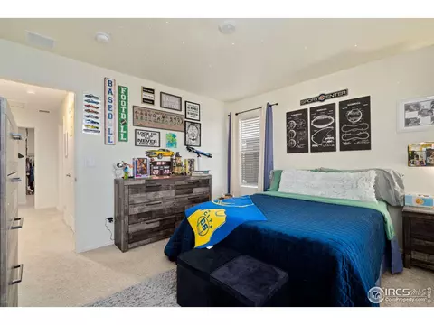 1809 Nightfall Dr, Windsor, CO 80550 photo 31