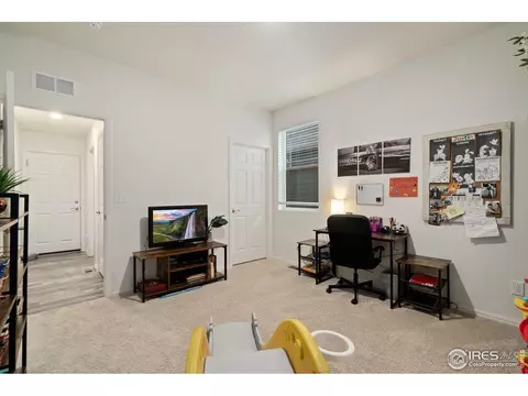 1809 Nightfall Dr, Windsor, CO 80550 photo 22