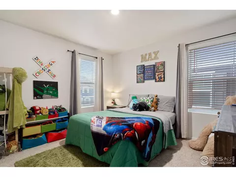 1809 Nightfall Dr, Windsor, CO 80550 photo 28