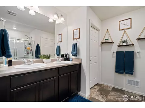 1809 Nightfall Dr, Windsor, CO 80550 photo 36