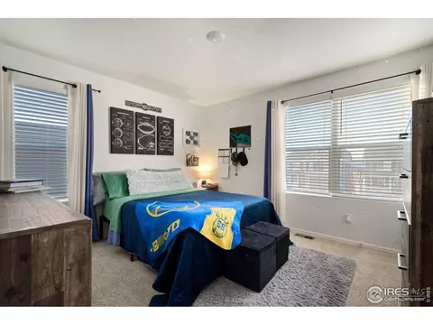 1809 Nightfall Dr, Windsor, CO 80550 photo 30