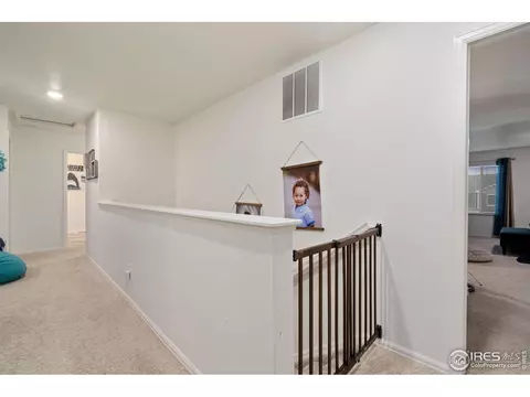 1809 Nightfall Dr, Windsor, CO 80550 photo 23