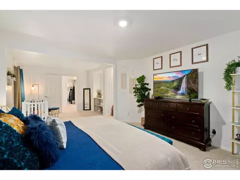 1809 Nightfall Dr, Windsor, CO 80550 photo 34