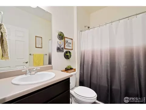 1809 Nightfall Dr, Windsor, CO 80550 photo 24