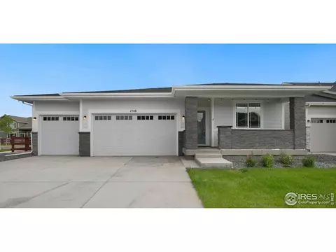 1746 Branching Canopy Dr, Windsor, CO 80550