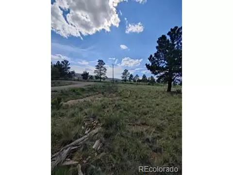 2235 Blacksmith Rd, Hartsel, CO 80449 photo 29